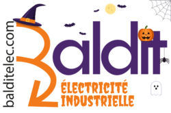 BalditElec.com